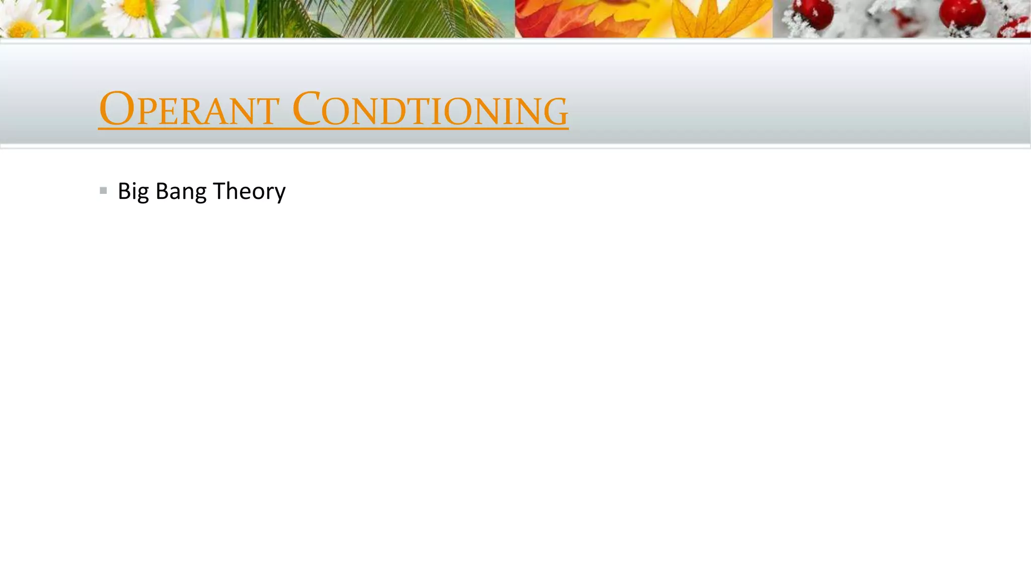 OPERANT CONDTIONING
 Big Bang Theory
 