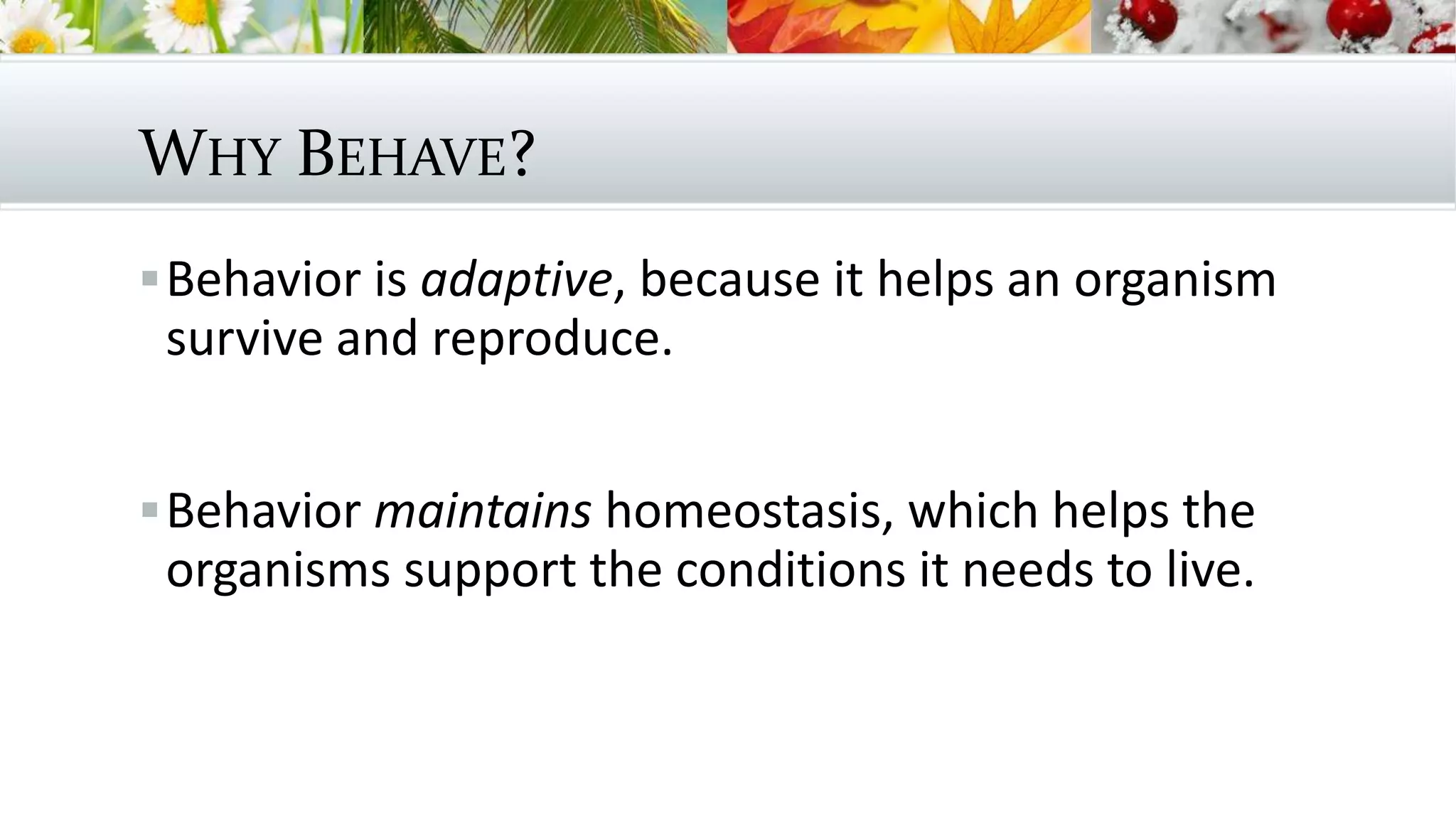 WHY BEHAVE?
Behavior is adaptive, because it helps an organism
survive and reproduce.
Behavior maintains homeostasis, which helps the
organisms support the conditions it needs to live.
 