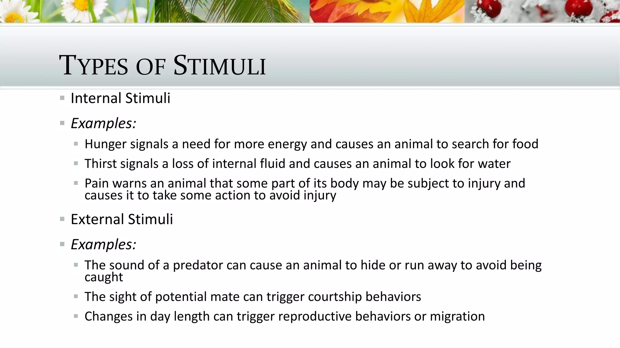 TYPES OF STIMULI
 Internal Stimuli
 Examples:
 Hunger signals a need for more energy and causes an animal to search for food
 Thirst signals a loss of internal fluid and causes an animal to look for water
 Pain warns an animal that some part of its body may be subject to injury and
causes it to take some action to avoid injury
 External Stimuli
 Examples:
 The sound of a predator can cause an animal to hide or run away to avoid being
caught
 The sight of potential mate can trigger courtship behaviors
 Changes in day length can trigger reproductive behaviors or migration
 