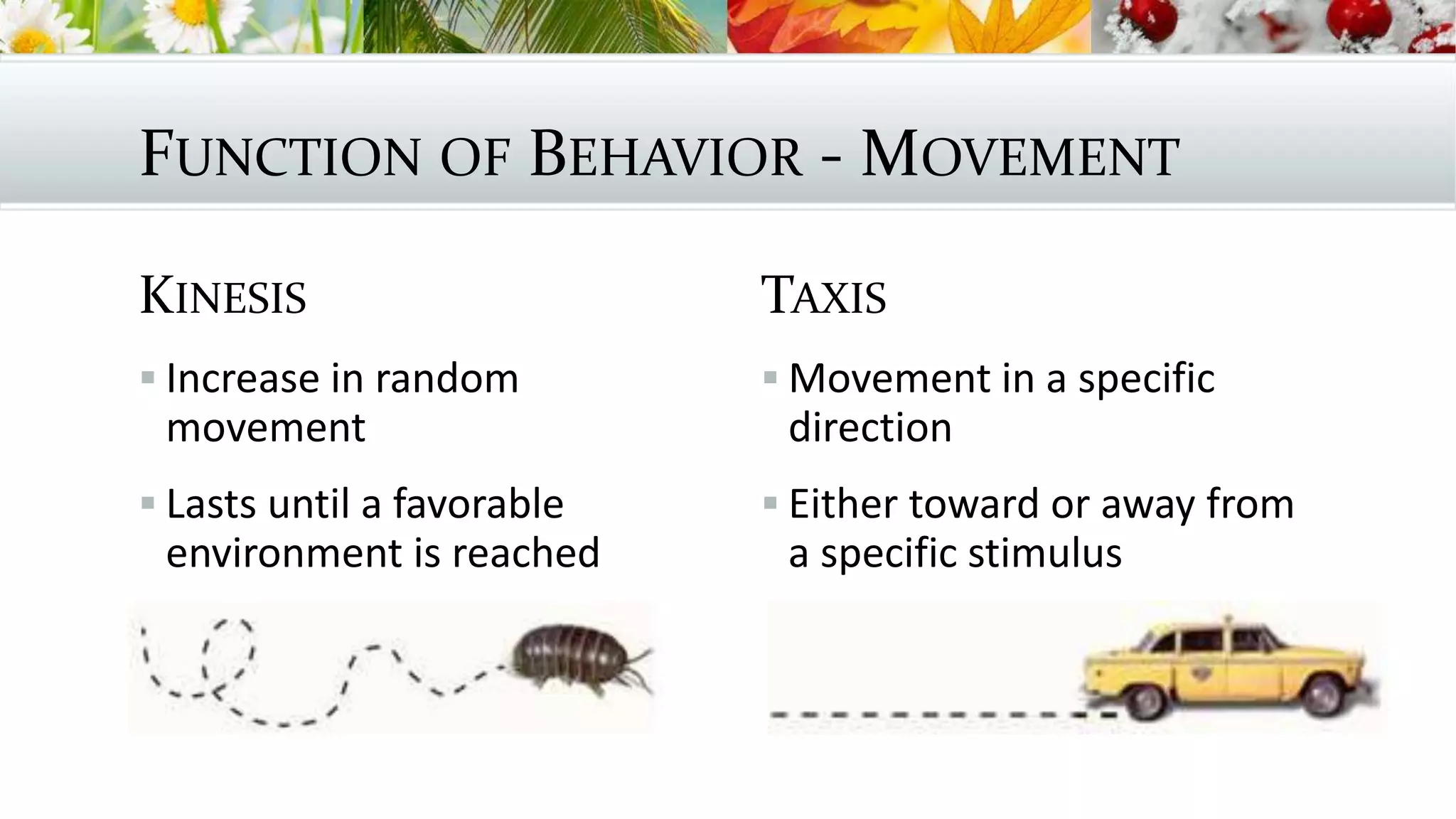 FUNCTION OF BEHAVIOR - MOVEMENT
KINESIS
 Increase in random
movement
 Lasts until a favorable
environment is reached
TAXIS
 Movement in a specific
direction
 Either toward or away from
a specific stimulus
 