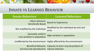 INNATE VS LEARNED BEHAVIOR
Innate Behaviors Learned Behaviors
Inborn behavior
Genetically Based
Based on Experience
Not modified by the individual
Modified by the individual by trial and
error
Generally uniform
Low variation in population
High variation in population
Unaffected by the environment Highly affected by the environment
Beneficial behavior
Survival and reproduction
Capacity to learn may be product of
natural selection
 