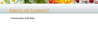 INNATE OR LEARNED?
 Conversation with Koko
 