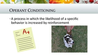 OPERANT CONDITIONING
A process in which the likelihood of a specific
behavior is increased by reinforcement
 