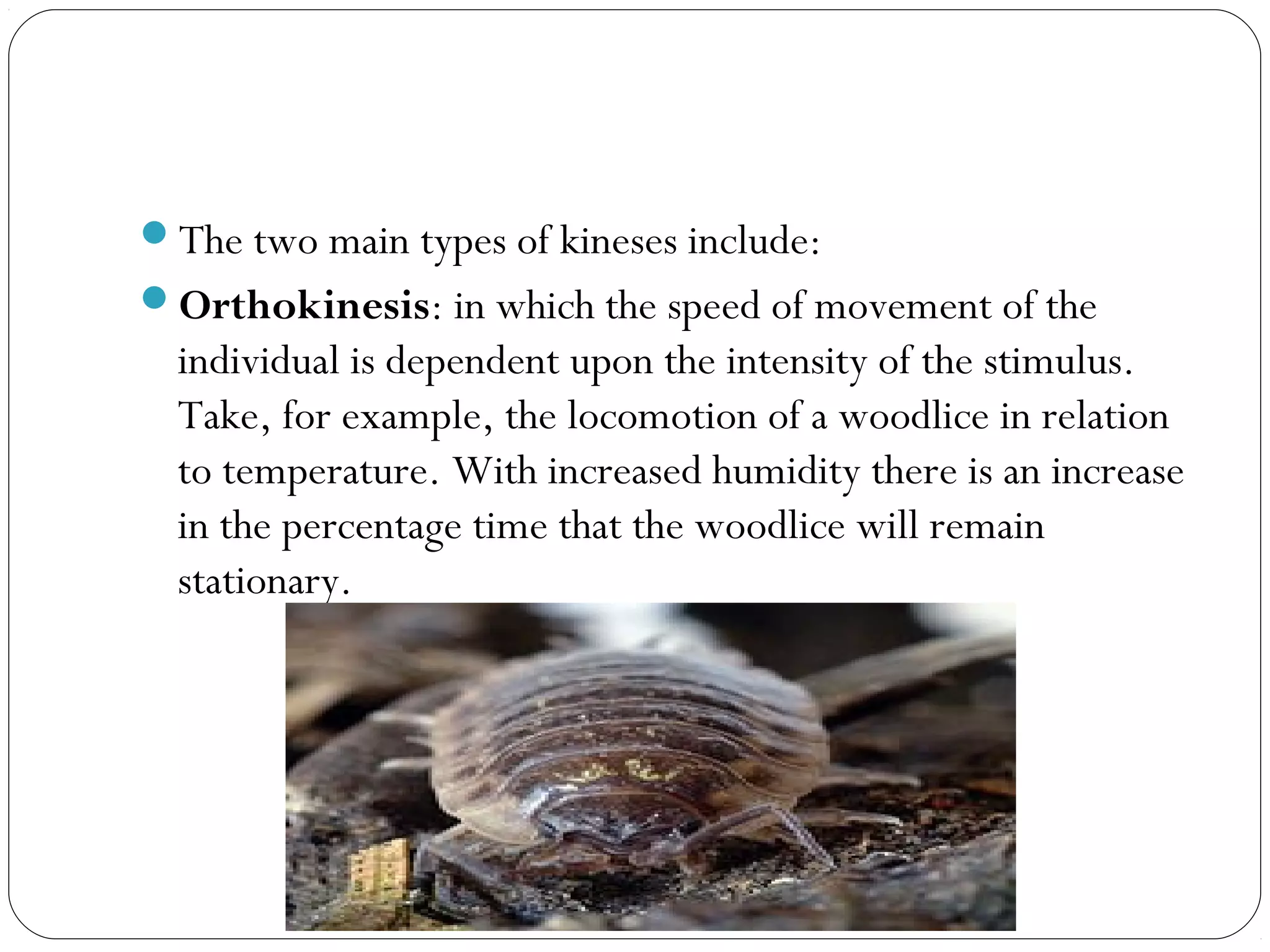 Animal behavior powerpoint | PPT