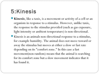 Animal behavior powerpoint | PPT