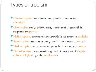 Animal behavior powerpoint | PPT