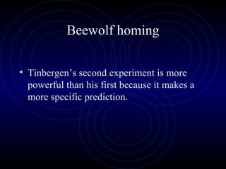 Beewolf homing
• Tinbergen’s second experiment is more
powerful than his first because it makes a
more specific prediction.
 