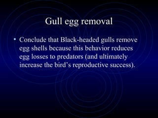Gull egg removal
• Conclude that Black-headed gulls remove
egg shells because this behavior reduces
egg losses to predators (and ultimately
increase the bird’s reproductive success).
 