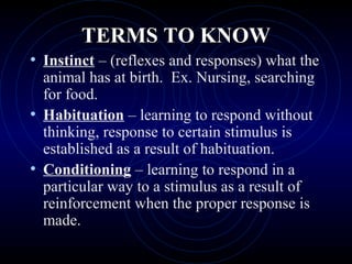 TERMS TO KNOWTERMS TO KNOW
• Instinct – (reflexes and responses) what the
animal has at birth. Ex. Nursing, searching
for food.
• Habituation – learning to respond without
thinking, response to certain stimulus is
established as a result of habituation.
• Conditioning – learning to respond in a
particular way to a stimulus as a result of
reinforcement when the proper response is
made.
 