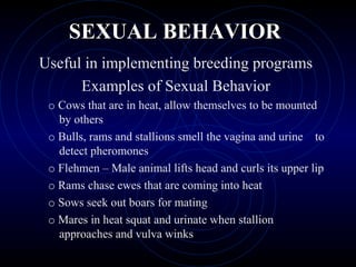 SEXUAL BEHAVIORSEXUAL BEHAVIOR
Useful in implementing breeding programs
Examples of Sexual Behavior
o Cows that are in heat, allow themselves to be mounted
by others
o Bulls, rams and stallions smell the vagina and urine to
detect pheromones
o Flehmen – Male animal lifts head and curls its upper lip
o Rams chase ewes that are coming into heat
o Sows seek out boars for mating
o Mares in heat squat and urinate when stallion
approaches and vulva winks
 