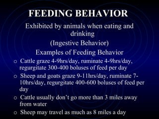 FEEDING BEHAVIORFEEDING BEHAVIOR
Exhibited by animals when eating and
drinking
(Ingestive Behavior)
Examples of Feeding Behavior
o Cattle graze 4-9hrs/day, ruminate 4-9hrs/day,
regurgitate 300-400 boluses of feed per day
o Sheep and goats graze 9-11hrs/day, ruminate 7-
10hrs/day, regurgitate 400-600 boluses of feed per
day
o Cattle usually don’t go more than 3 miles away
from water
o Sheep may travel as much as 8 miles a day
 