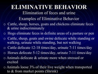 ELIMINATIVE BEHAVIORELIMINATIVE BEHAVIOR
Elimination of feces and urine
Examples of Eliminative Behavior
o Cattle, sheep, horses, goats and chickens eliminate feces
& urine indiscriminately
o Hogs eliminate feces in definite areas of a pasture or pen
o Cattle, sheep, goats and swine defecate while standing or
walking, urinate while standing, but not walking
o Cattle defecate 12-18 times/day, urinate 7-11 times/day
o Horses defecate 5-12 times/day, urinate 7-11 times/day
o Animals defecate & urinate more when stressed or
excited
o Animals loose 3% of their live weight when transported
to & from market points (Shrink)
 