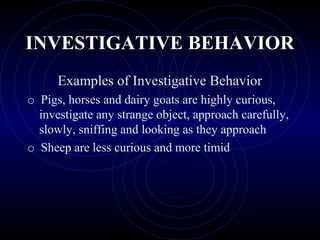 INVESTIGATIVE BEHAVIORINVESTIGATIVE BEHAVIOR
Examples of Investigative Behavior
o Pigs, horses and dairy goats are highly curious,
investigate any strange object, approach carefully,
slowly, sniffing and looking as they approach
o Sheep are less curious and more timid
 