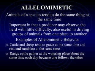 ALLELOMIMETICALLELOMIMETIC
Animals of a species tend to do the same thing at
the same time
Important in that a producer may observe the
herd with little difficulty, also useful in driving
groups of animals from one place to another
Examples of Allelomimetic Behavior
o Cattle and sheep tend to graze at the same time and
rest and ruminate at the same time
o Range cattle gather at the watering place about the
same time each day because one follows the other
 