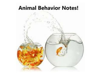 Animal Behavior Notes!
 