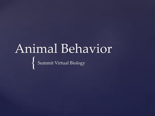 {
Animal Behavior
Summit Virtual Biology
 
