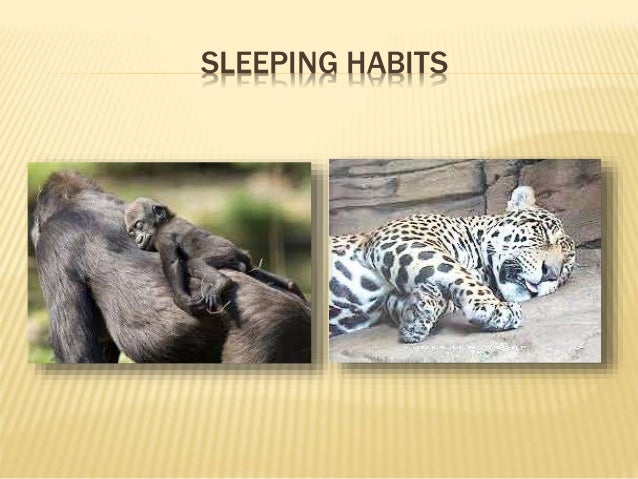 Animal behaviors in response to the stimuli p.4