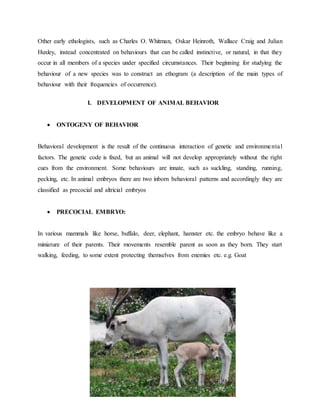Other early ethologists, such as Charles O. Whitman, Oskar Heinroth, Wallace Craig and Julian
Huxley, instead concentrated on behaviours that can be called instinctive, or natural, in that they
occur in all members of a species under specified circumstances. Their beginning for studying the
behaviour of a new species was to construct an ethogram (a description of the main types of
behaviour with their frequencies of occurrence).
I. DEVELOPMENT OF ANIMAL BEHAVIOR
 ONTOGENY OF BEHAVIOR
Behavioral development is the result of the continuous interaction of genetic and environmental
factors. The genetic code is fixed, but an animal will not develop appropriately without the right
cues from the environment. Some behaviours are innate, such as suckling, standing, running,
pecking, etc. In animal embryos there are two inborn behavioral patterns and accordingly they are
classified as precocial and altricial embryos
 PRECOCIAL EMBRYO:
In various mammals like horse, buffalo, deer, elephant, hamster etc. the embryo behave like a
miniature of their parents. Their movements resemble parent as soon as they born. They start
walking, feeding, to some extent protecting themselves from enemies etc. e.g. Goat
 