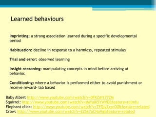Learned behaviours

 Imprinting: a strong association learned during a specific developmental
 period

 Habituation: decline in response to a harmless, repeated stimulus

 Trial and error: observed learning

 Insight reasoning: manipulating concepts in mind before arriving at
 behavior.

 Conditioning: where a behavior is performed either to avoid punishment or
 receive reward- lab based

Baby Albert http://www.youtube.com/watch?v=0FKZAYt77ZM
Squirrel: http://www.youtube.com/watch?v=sMYuIK5YWVE&feature=relmfu
Elephant click: http://www.youtube.com/watch?v=TFQigZxsnO0&feature=related
Crow: http://www.youtube.com/watch?v=EZSk7oCNaHg&feature=related
 