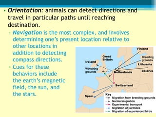 • Orientation: animals can detect directions and
  travel in particular paths until reaching
  destination.
 ▫ Navigation is the most complex, and involves
   determining one’s present location relative to
   other locations in
   addition to detecting
   compass directions.
 ▫ Cues for these
   behaviors include
   the earth’s magnetic
   field, the sun, and
   the stars.
 