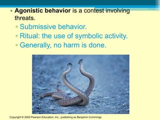 • Agonistic behavior is a contest involving
  threats.
    ▫ Submissive behavior.
    ▫ Ritual: the use of symbolic activity.
    ▫ Generally, no harm is done.




Copyright © 2002 Pearson Education, Inc., publishing as Benjamin Cummings
 