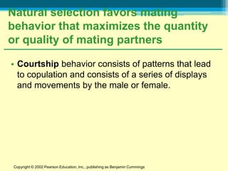 Natural selection favors mating
behavior that maximizes the quantity
or quality of mating partners

• Courtship behavior consists of patterns that lead
  to copulation and consists of a series of displays
  and movements by the male or female.




 Copyright © 2002 Pearson Education, Inc., publishing as Benjamin Cummings
 