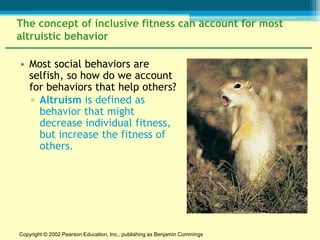 The concept of inclusive fitness can account for most
altruistic behavior

• Most social behaviors are
  selfish, so how do we account
  for behaviors that help others?
  ▫ Altruism is defined as
    behavior that might
    decrease individual fitness,
    but increase the fitness of
    others.




Copyright © 2002 Pearson Education, Inc., publishing as Benjamin Cummings
 