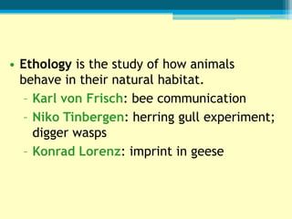 • Ethology is the study of how animals
  behave in their natural habitat.
   – Karl von Frisch: bee communication
   – Niko Tinbergen: herring gull experiment;
     digger wasps
   – Konrad Lorenz: imprint in geese
 