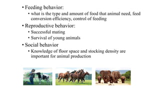 • Feeding behavior:
• what is the type and amount of food that animal need, feed
conversion efficiency, control of feeding
• Reproductive behavior:
• Successful mating
• Survival of young animals
• Social behavior
• Knowledge of floor space and stocking density are
important for animal production
 
