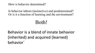 How is behavior determined?
Is behavior inborn (instinctive) and predetermined?
Or is it a function of learning and the environment?
Both!
Behavior is a blend of innate behavior
(inherited) and acquired (learned)
behavior`
 