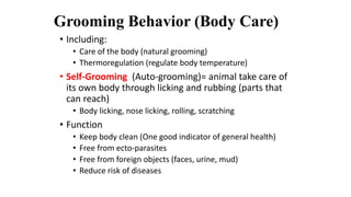 Grooming Behavior (Body Care)
• Including:
• Care of the body (natural grooming)
• Thermoregulation (regulate body temperature)
• Self-Grooming (Auto-grooming)= animal take care of
its own body through licking and rubbing (parts that
can reach)
• Body licking, nose licking, rolling, scratching
• Function
• Keep body clean (One good indicator of general health)
• Free from ecto-parasites
• Free from foreign objects (faces, urine, mud)
• Reduce risk of diseases
 