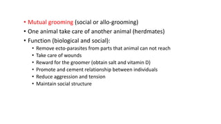• Mutual grooming (social or allo-grooming)
• One animal take care of another animal (herdmates)
• Function (biological and social):
• Remove ecto-parasites from parts that animal can not reach
• Take care of wounds
• Reward for the groomer (obtain salt and vitamin D)
• Promote and cement relationship between individuals
• Reduce aggression and tension
• Maintain social structure
 