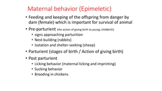 Maternal behavior (Epimeletic)
• Feeding and keeping of the offspring from danger by
dam (female) which is important for survival of animal
• Pre-parturient (the action of giving birth to young; childbirth)
• signs approaching parturition
• Nest-building (rabbits)
• Isolation and shelter-seeking (sheep)
• Parturient (stages of birth / Action of giving birth)
• Post parturient
• Licking behavior (maternal licking and imprinting)
• Sucking behavior
• Brooding in chickens
 