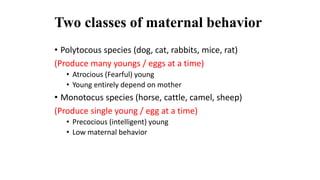 Two classes of maternal behavior
• Polytocous species (dog, cat, rabbits, mice, rat)
(Produce many youngs / eggs at a time)
• Atrocious (Fearful) young
• Young entirely depend on mother
• Monotocus species (horse, cattle, camel, sheep)
(Produce single young / egg at a time)
• Precocious (intelligent) young
• Low maternal behavior
 