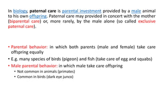 In biology, paternal care is parental investment provided by a male animal
to his own offspring. Paternal care may provided in concert with the mother
(biparental care) or, more rarely, by the male alone (so called exclusive
paternal care).
• Parental behavior: in which both parents (male and female) take care
offspring equally
• E.g. many species of birds (pigeon) and fish (take care of egg and squabs)
• Male parental behavior: in which male take care offspring
• Not common in animals (primates)
• Common in birds (dark eye junco)
 