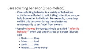 Care soliciting behavior (Et-epimeletic)
• Care-soliciting behavior is a variety of behavioral
activities manifested to solicit (Beg) attention, care, or
help from other individuals. For example, some dogs
exhibit this behavior during thunderstorms
unnecessarily to get 'love' from owners.
• Usually showed by young animals so called ‘’ infantile
behavior’’ when was under stress or danger (distress
call)
• Chicks……….. Chirp
• Calves…………bawl
• Lambs………..bleat
• Puppies………whine or yelp
 