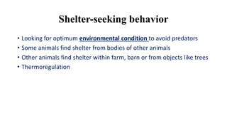 Shelter-seeking behavior
• Looking for optimum environmental condition to avoid predators
• Some animals find shelter from bodies of other animals
• Other animals find shelter within farm, barn or from objects like trees
• Thermoregulation
 