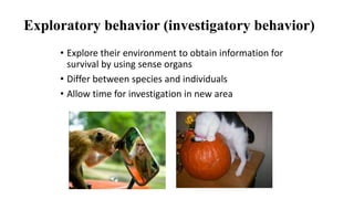 Exploratory behavior (investigatory behavior)
• Explore their environment to obtain information for
survival by using sense organs
• Differ between species and individuals
• Allow time for investigation in new area
 