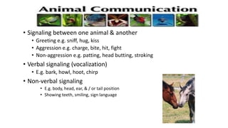 • Signaling between one animal & another
• Greeting e.g. sniff, hug, kiss
• Aggression e.g. charge, bite, hit, fight
• Non-aggression e.g. patting, head butting, stroking
• Verbal signaling (vocalization)
• E.g. bark, howl, hoot, chirp
• Non-verbal signaling
• E.g. body, head, ear, & / or tail position
• Showing teeth, smiling, sign language
 