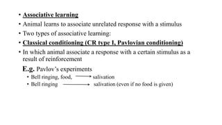 Animal behaviour | PPTX