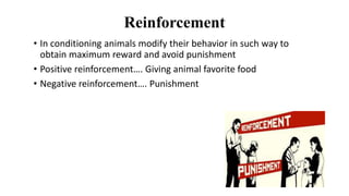 Reinforcement
• In conditioning animals modify their behavior in such way to
obtain maximum reward and avoid punishment
• Positive reinforcement…. Giving animal favorite food
• Negative reinforcement…. Punishment
 