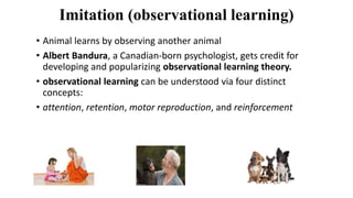 Imitation (observational learning)
• Animal learns by observing another animal
• Albert Bandura, a Canadian-born psychologist, gets credit for
developing and popularizing observational learning theory.
• observational learning can be understood via four distinct
concepts:
• attention, retention, motor reproduction, and reinforcement
 