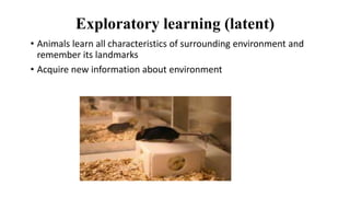 Exploratory learning (latent)
• Animals learn all characteristics of surrounding environment and
remember its landmarks
• Acquire new information about environment
 