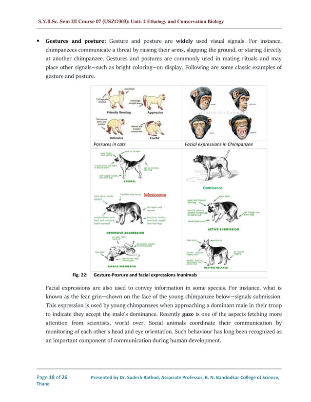 Animal behaviour Introduction to Ethology