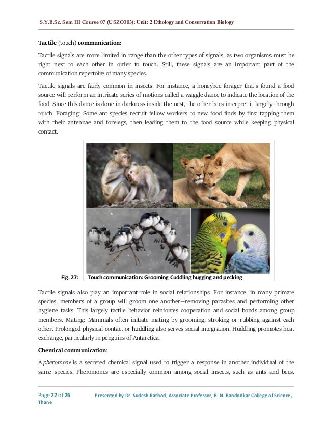 Animal behaviour Introduction to Ethology