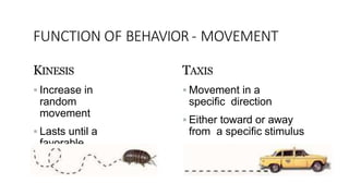 Animal behaviour | PPTX