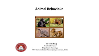 Animal Behaviour
Dr. Sonia Bajaj
Assistant Professor
Department of Zoology
Shri Shankaracharya Mahavidyalaya, Junwani ,Bhilai
 