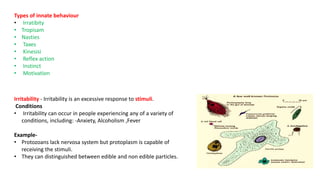 Types of innate behaviour
• Irratibity
• Tropisam
• Nasties
• Taxes
• Kinesisi
• Reflex action
• Instinct
• Motivation
Irritability - Irritability is an excessive response to stimuli.
Conditions
• Irritability can occur in people experiencing any of a variety of
conditions, including: -Anxiety, Alcoholism ,Fever
Example-
• Protozoans lack nervosa system but protoplasm is capable of
receiving the stimuli.
• They can distinguished between edible and non edible particles.
 