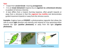 Taxis
• A taxis from ancient Greek meaning arrangement.
• It is an innate behavioral response by an organism to a directional stimulus
or gradient of stimulus intensity.
• A taxis differs from a tropism (turning response, often growth towards or
away from a stimulus) in that the organism has motility and demonstrates
guided movement towards or away from the stimulus source.
Examples -Euglena have an EYESPOT: a photoreceptive organelle that allows the
cells to sense Light direction and intensity and respond to it by swimming either
towards the light (positive phototaxis) or away from the light (negative
phototaxis).
 