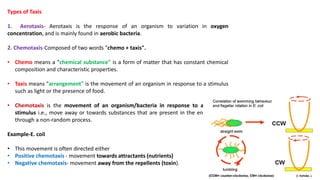 Types of Taxis
1. Aerotaxis- Aerotaxis is the response of an organism to variation in oxygen
concentration, and is mainly found in aerobic bacteria.
2. Chemotaxis-Composed of two words "chemo + taxis".
• Chemo means a "chemical substance" is a form of matter that has constant chemical
composition and characteristic properties.
• Taxis means "arrangement" is the movement of an organism in response to a stimulus
such as light or the presence of food.
• Chemotaxis is the movement of an organism/bacteria in response to a chemical
stimulus i.e., move away or towards substances that are present in the environment
through a non-random process.
Example-E. coil
• This movement is often directed either
• Positive chemotaxis - movement towards attractants (nutrients)
• Negative chemotaxis- movement away from the repellents (toxin).
 